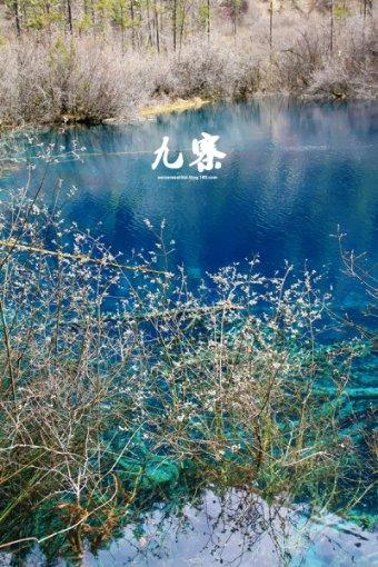 主要农作物病虫害绿色防控效果佳